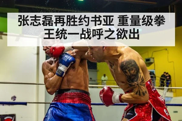 Zhang Zhilei knockout