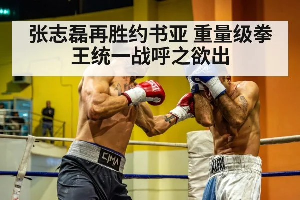 heavyweight boxing unification fight