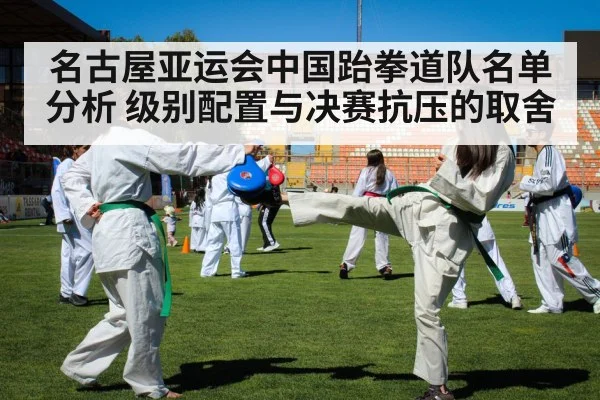 taekwondo kick competition